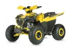 Keturratis benzininis 125CC ATV TERRAX OFF ROAD