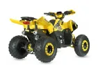 Keturratis benzininis 125CC ATV TERRAX OFF ROAD