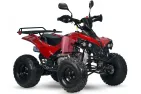 QUAD BIKE 125cc WARRIOR SUPER EDITION (PLEASE CONTACT FOR THE SENDING TERMS AND PRICE: PARDUOTUVE@HERADAS.LT)