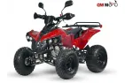 QUAD BIKE 125cc WARRIOR SUPER EDITION (PLEASE CONTACT FOR THE SENDING TERMS AND PRICE: PARDUOTUVE@HERADAS.LT)