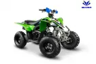 QUAD BIKE petrol 125CC ATV Pentora