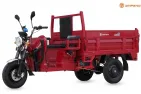 Electric cargo tricycle JINPENG KING BOX2 Dump truck