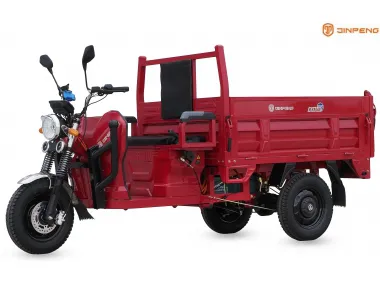 Electric cargo tricycle JINPENG KING BOX2 Dump truck