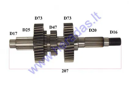 Krumpliaratis greičių dėžės 200cc GY6