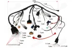 Wiring for motorcycle 50cc fits FR50