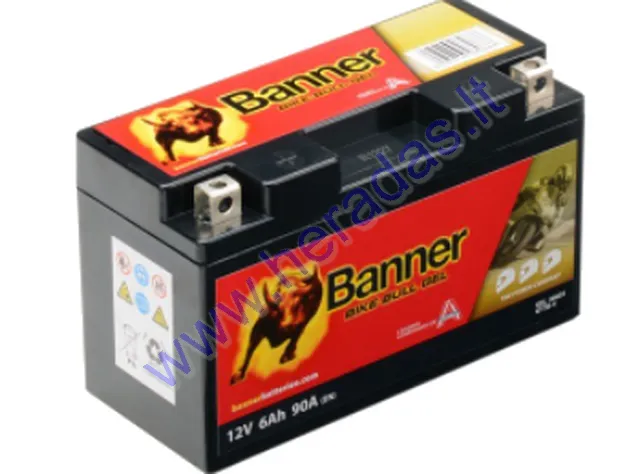 Batterie Banner 6V, 12Ah