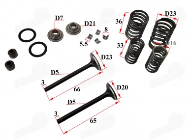 Engine valve set for motorcycle, quad bike 70cc MINICHOPPER