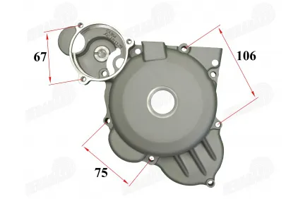 Motociklo variklio dangtelis kairės pusės ZONGSHEN CBS300