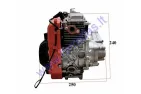 Motorized four-stroke engine 4T 53cc chain drive (filling pure gasoline) kit 144F-1G 1.6kw