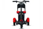 ELECTRIC TRIKE SCOOTER, MOBILITY SCOOTER 36V 300W (PLEASE CONTACT FOR THE SENDING TERMS AND PRICE: PARDUOTUVE@HERADAS.LT)