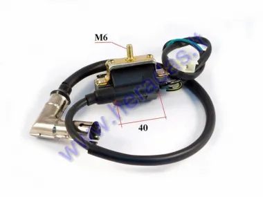 Ignition coil for ATV quad bike