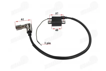 Ignition coil for ATV quad bike, motorcycle, moped metal pipe Bashan fits CHAMP DELTA