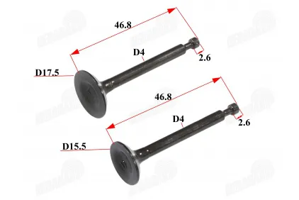 Valve set intake+exhaust of motorized bicycle 4T 50cc